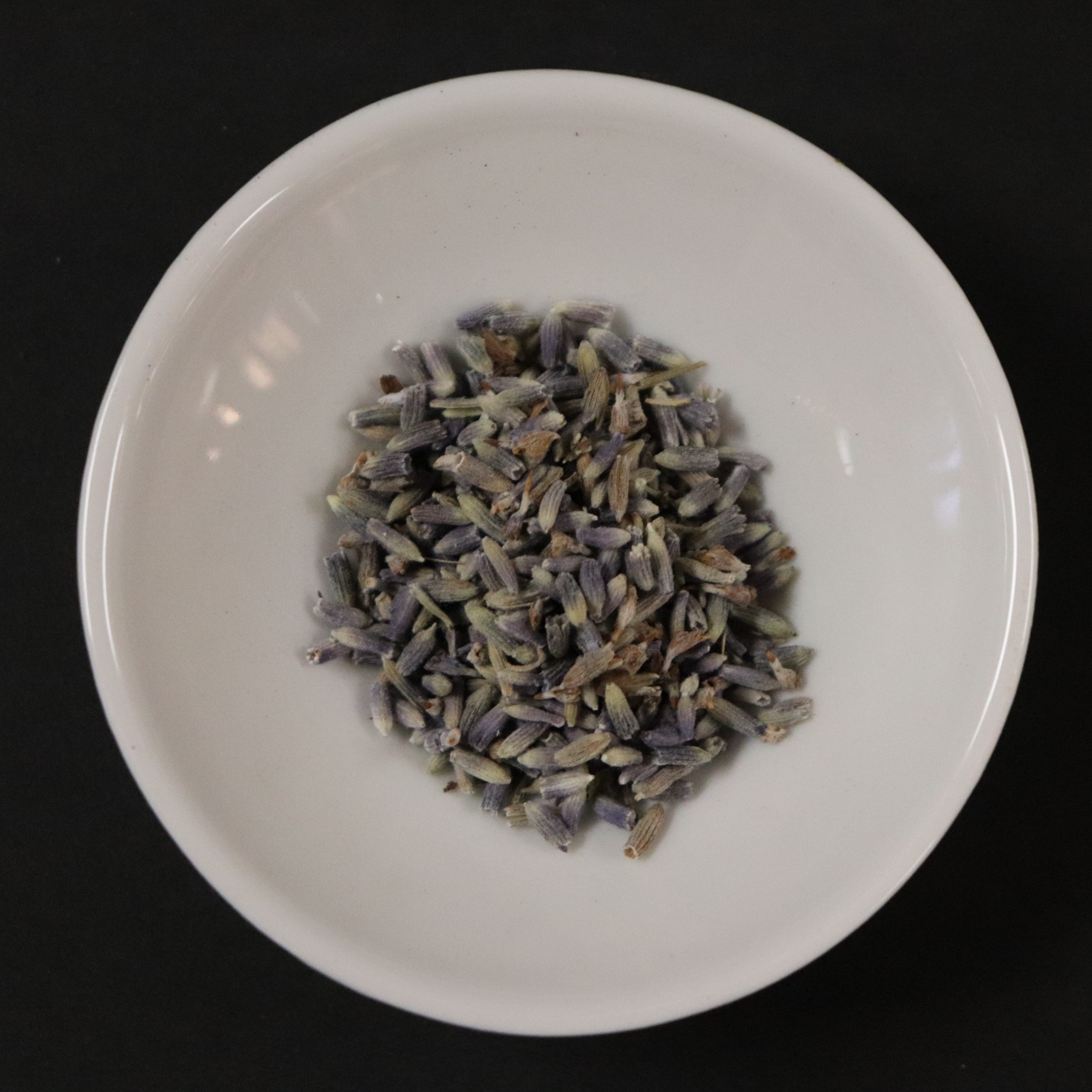 Organic Wild Lavender