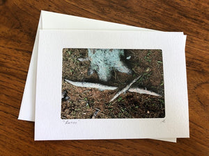 Photography Note Cards