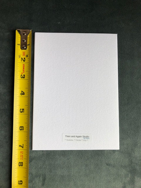 Photography Note Cards