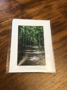 Photography Note Cards Nature