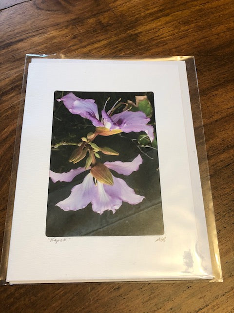 Photography Note Cards Nature