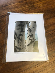 Photography Note Cards Nature