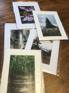 Photography Note Cards Nature