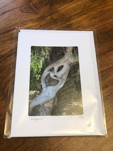 Photography Note Cards Assorted