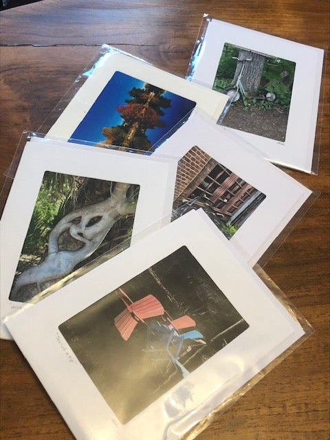 Photography Note Cards Assorted