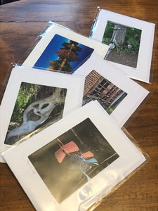 Photography Note Cards Assorted