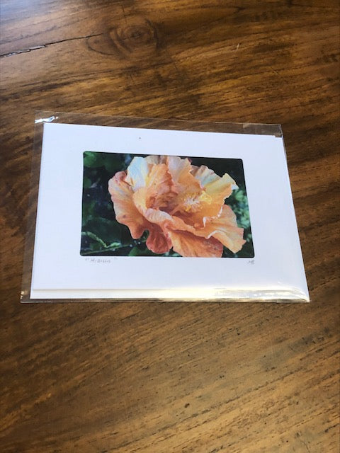 Photography Note Cards Flowers