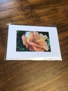 Photography Note Cards Flowers