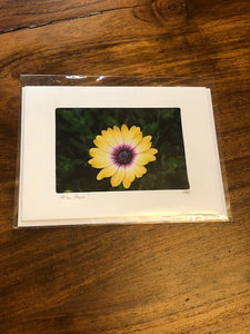 Photography Note Cards Flowers