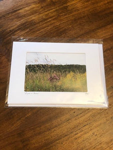 Photography Note Cards Muskoka