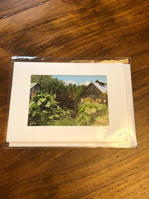 Photography Note Cards Muskoka